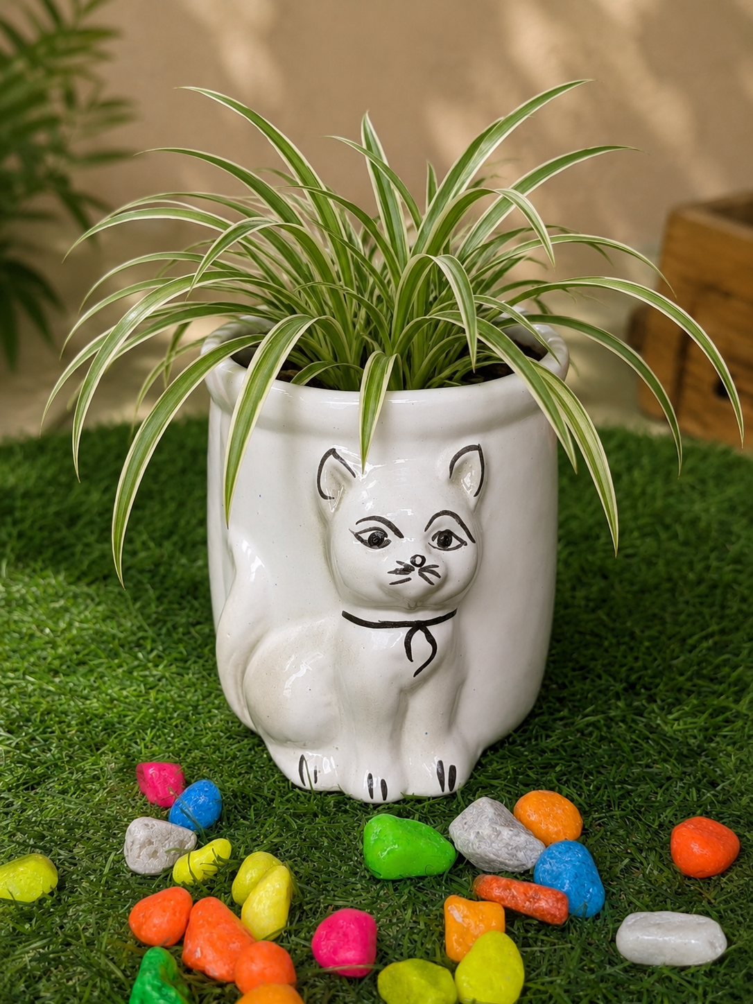 Cloud White Cat Face Ceramic Planter