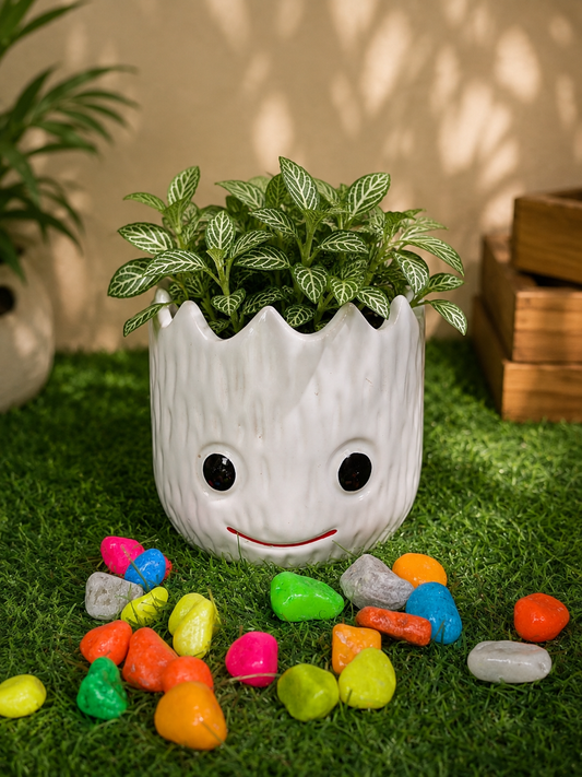 Cloud White Groot Ceramic Planter
